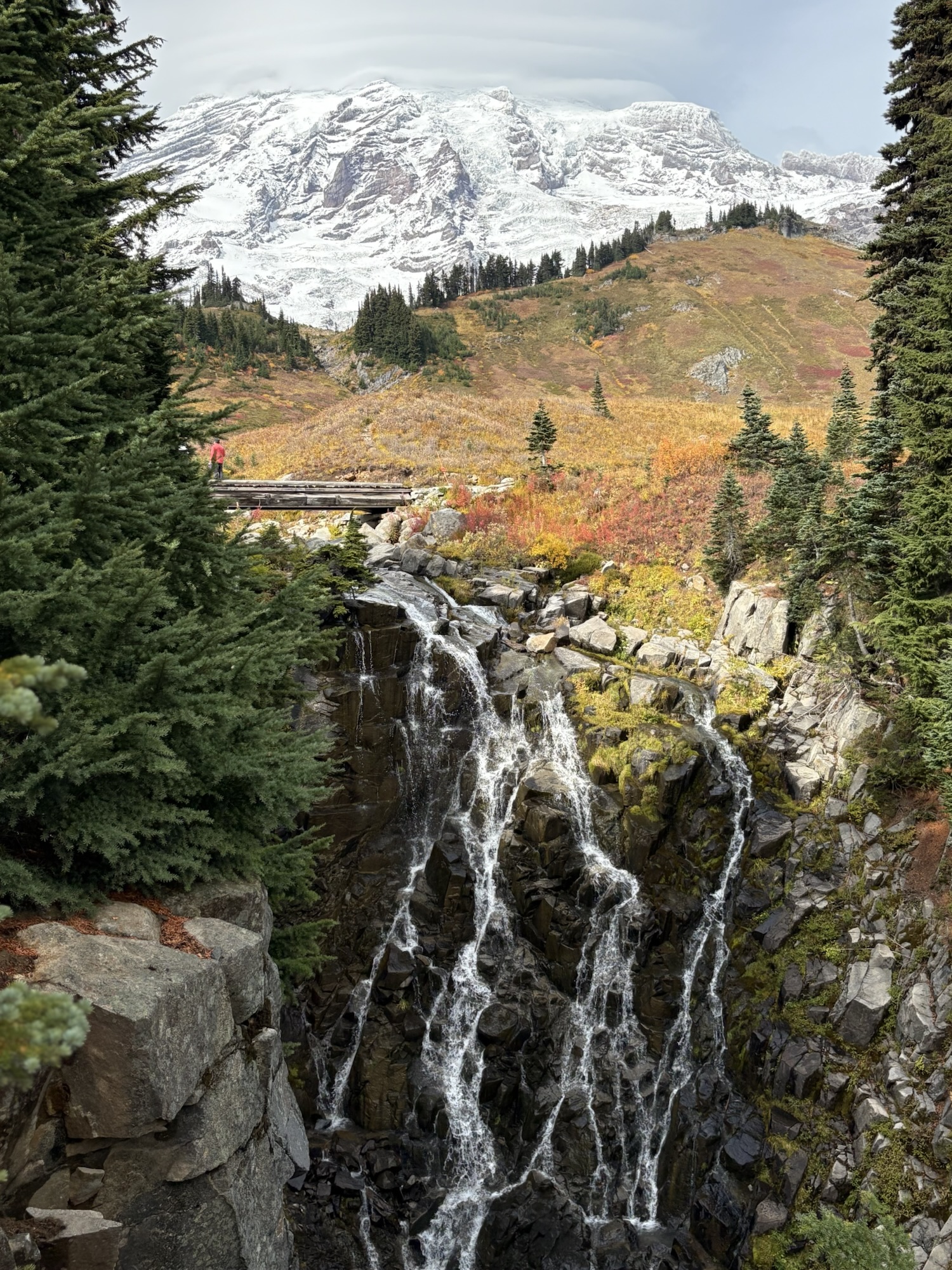 Read more about the article 西雅圖瑞尼爾山Paradise Trail 一日健行｜漫步天堂的療癒步道